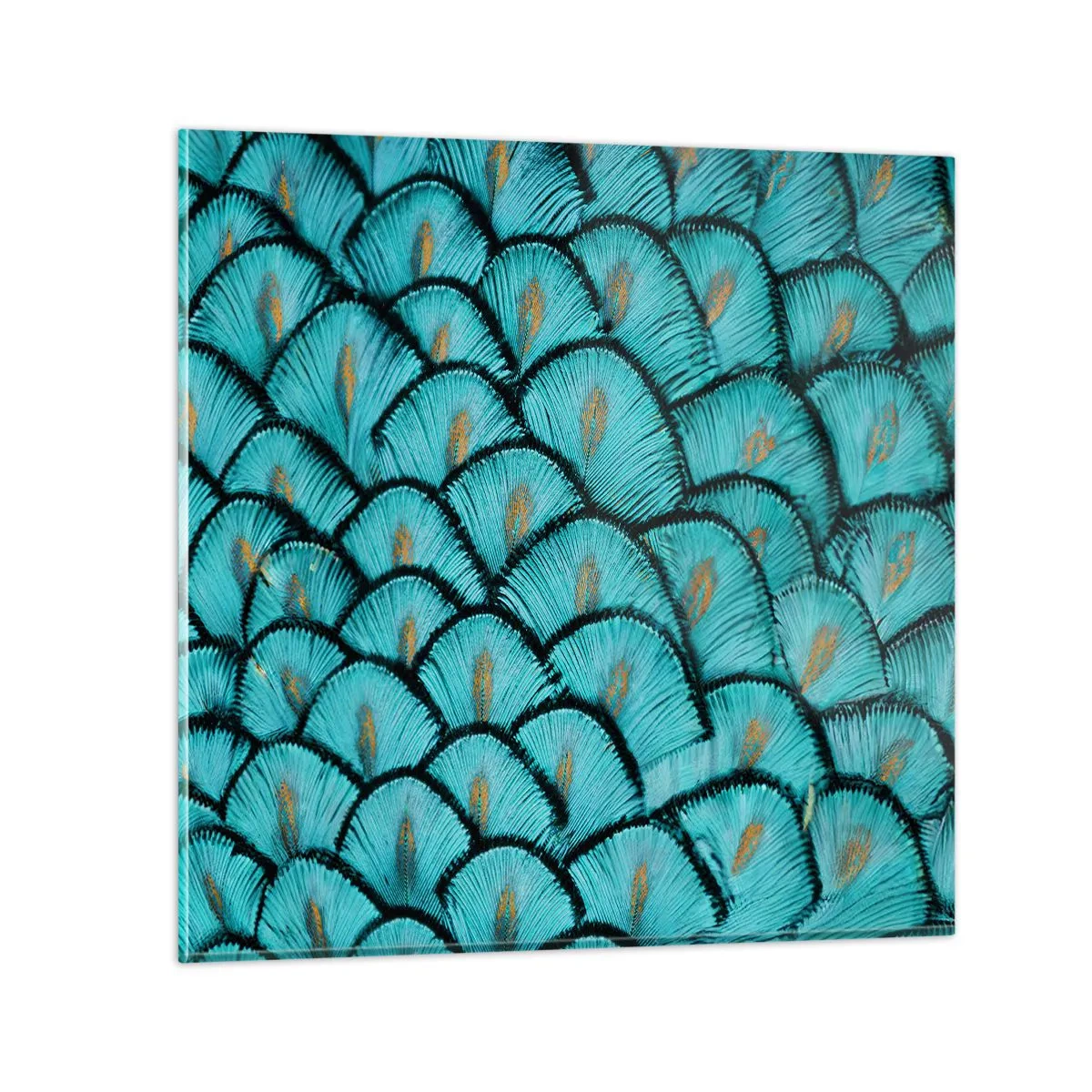 Impression sur verre - Image sur verre - Le grand gala des plumes - 70x70 cm