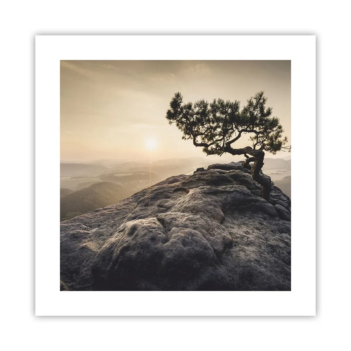 Affiche - Poster - La vie gagne toujours - 40x40 cm