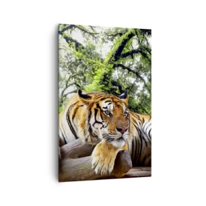 Impression sur toile - Image sur toile - Un tigre se reposant dans une forêt tropicale - 80x120cm - Cordialement - Décoration murale moderne pour le salon et la chambre ARTTOR