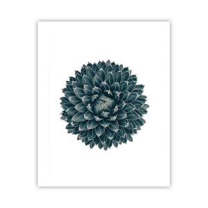 Affiche - Poster - Étoile du désert - 40x50 cm