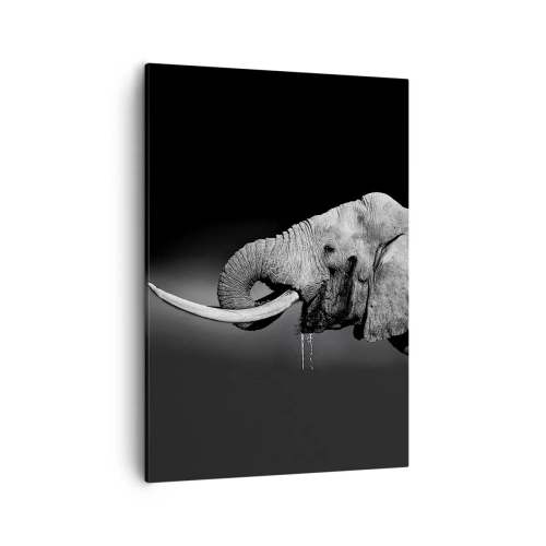 Impression sur toile - Image sur toile - Portrait noir et blanc d'un éléphant de profil - 50x70cm - Oui, c'est bon maintenant - Décoration murale moderne pour le salon et la chambre ARTTOR