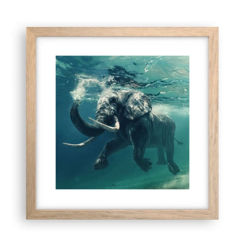 Affiche dans un chêne clair - Poster - Tout le monde aime nager - 30x30 cm