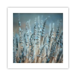 Affiche - Poster - Tige odorante - 40x40 cm