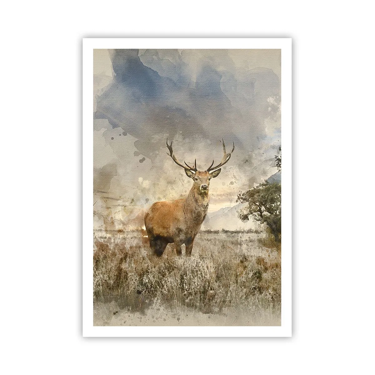 Affiche - Poster - Dignité - force - majesté - 70x100 cm