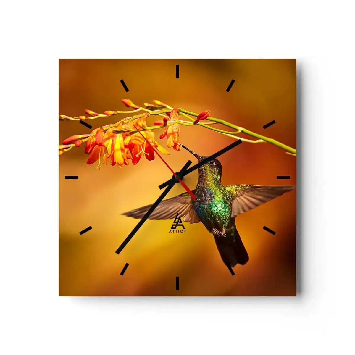 Horloge murale - Pendule murale - Colibri près d'une fleur dans la lumière chaude - 30x30cm - Un messager de lumière selon les Mayas - Décoration murale moderne pour le salon et la chambre ARTTOR