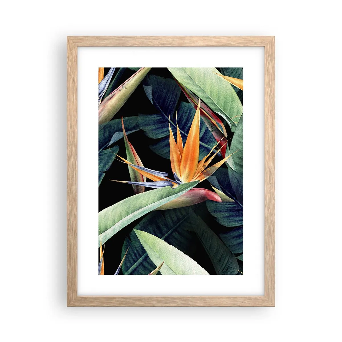 Affiche dans un chêne clair - Poster - Fleurs flamboyantes des tropiques - 30x40 cm