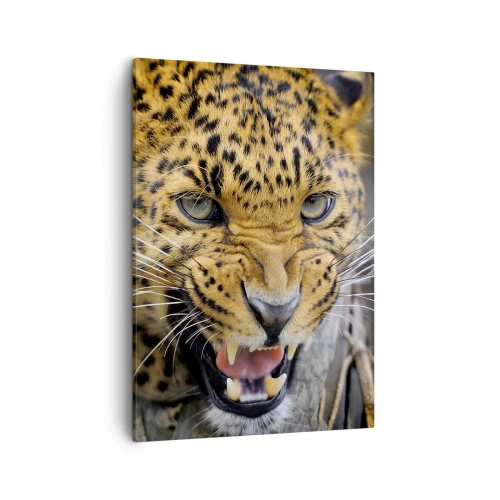 Impression sur toile - Image sur toile - Gros plan d'un léopard menaçant avec ses crocs découverts. - 50x70cm - Reste en retrait, je te préviens ! - Décoration murale moderne pour le salon et la chambre ARTTOR