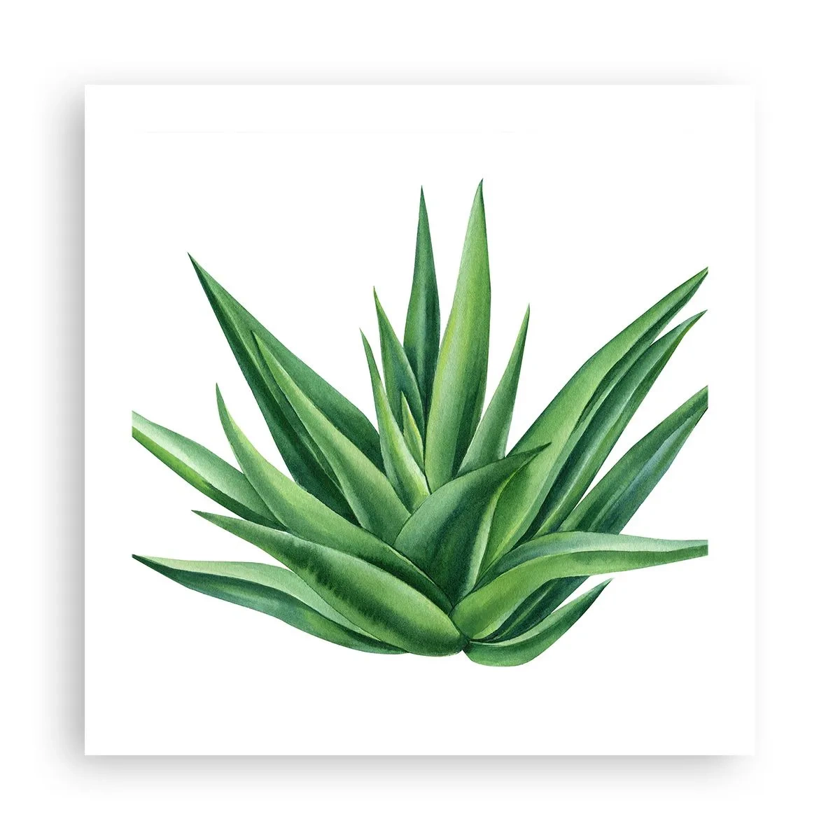 Affiche - Poster - Vert – force – vie - 50x50 cm