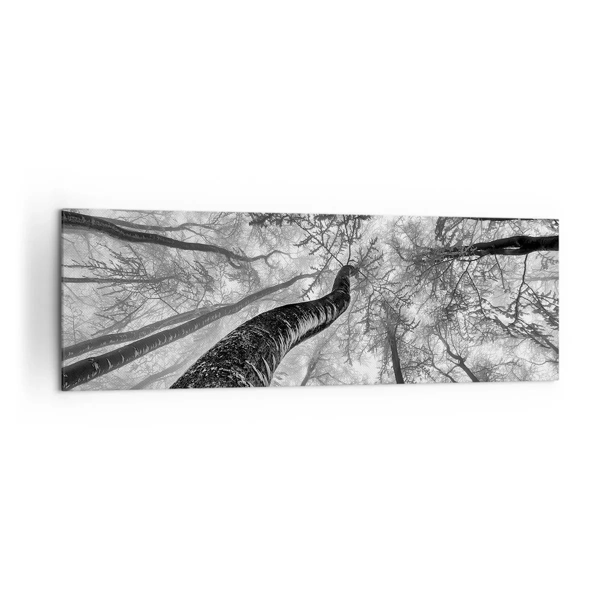 Impression sur toile - Image sur toile - Perspective d'arbres dans une forêt vue d'en bas en nuances de gris - 160x50cm - Course vers la lumière - Décoration murale moderne pour le salon et la chambre ARTTOR
