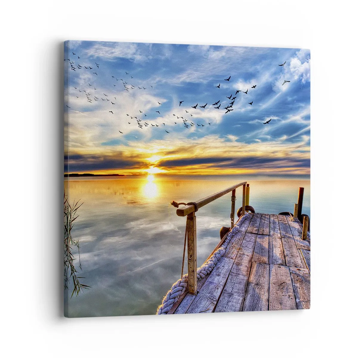 Impression sur toile - Image sur toile - Le vent se repose - 40x40 cm