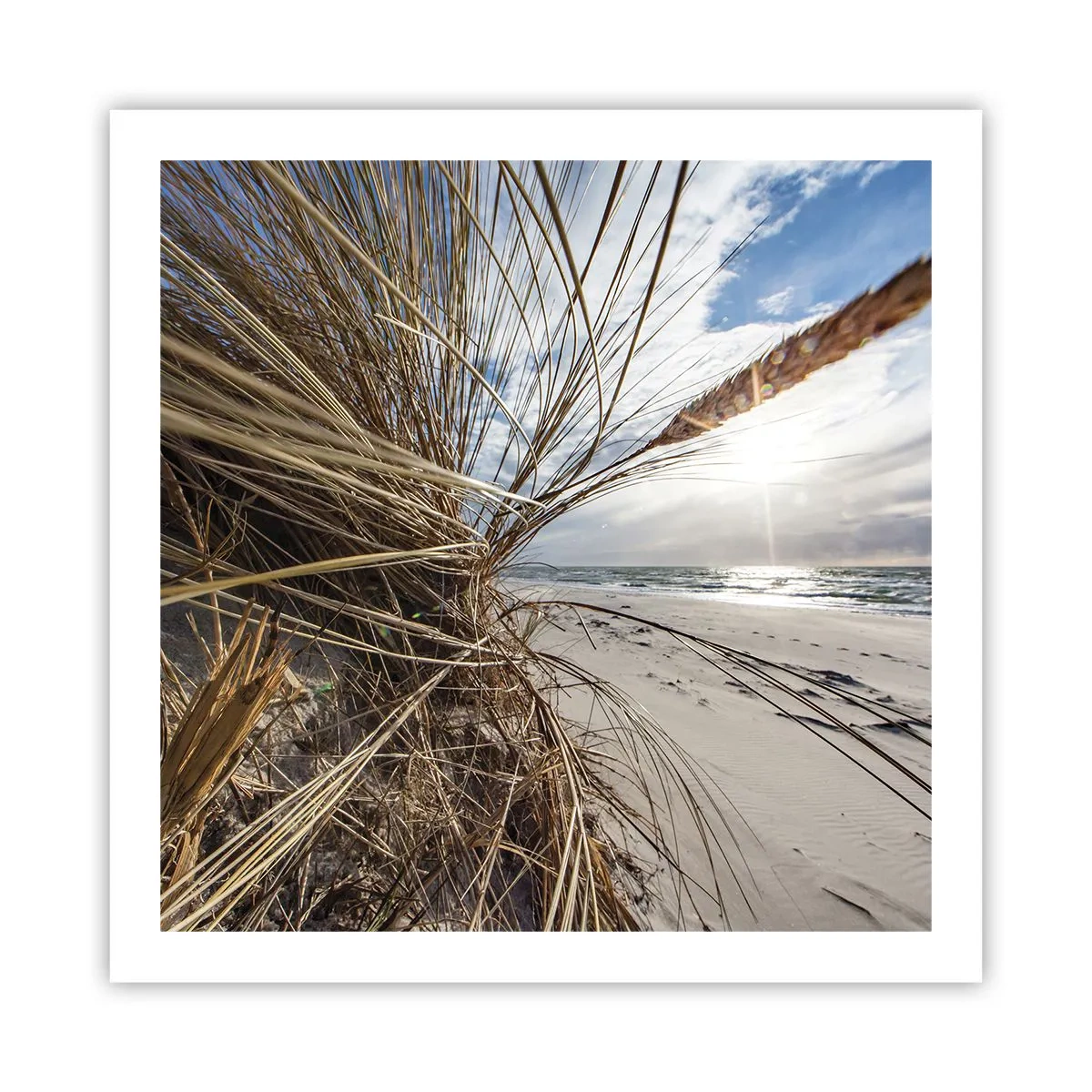 Affiche - Poster - Rencontre des éléments - 60x60 cm