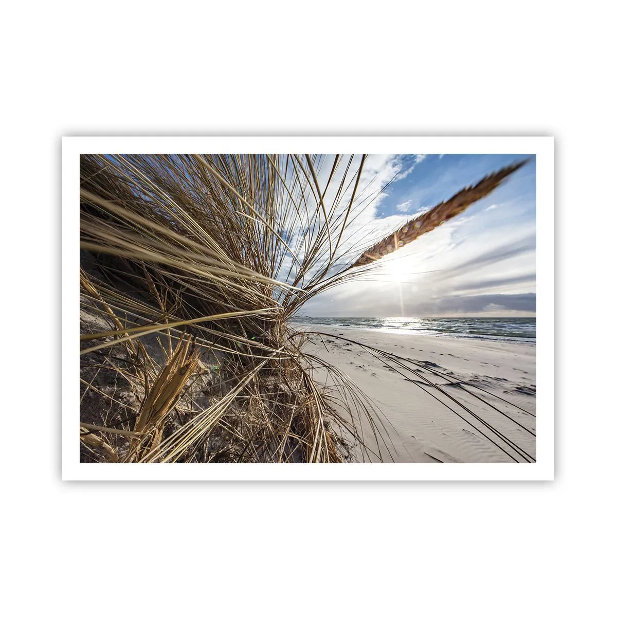 Affiche - Poster - Une plage avec de l'herbe sèche sur les dunes et une vue sur la mer - 100x70cm - Rencontre des éléments - Décoration murale moderne pour le salon et la chambre ARTTOR