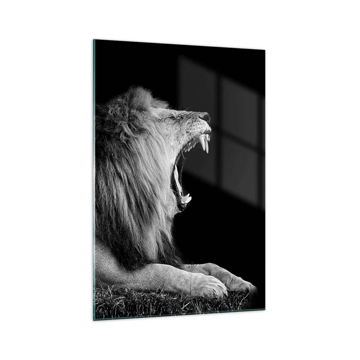 Impression sur verre - Image sur verre - Un lion rugissant sur fond noir dans des tons noir et blanc - 70x100cm - Sans aucun doute - Décoration murale moderne pour le salon et la chambre ARTTOR