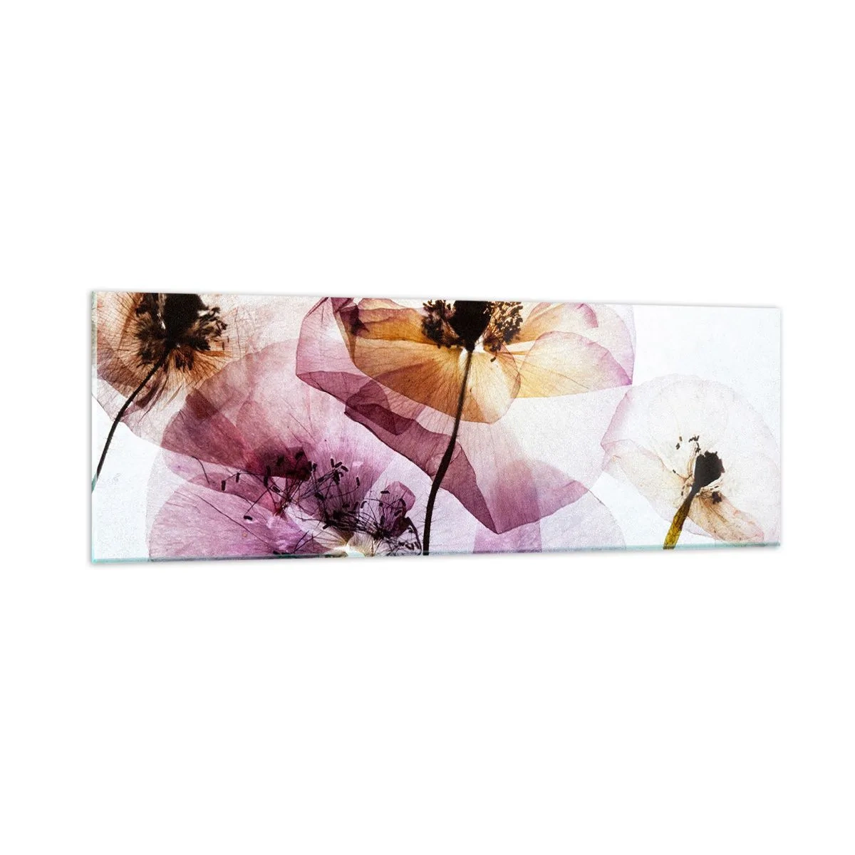 Impression sur verre - Image sur verre - Corps de fleurs transparente - 90x30 cm