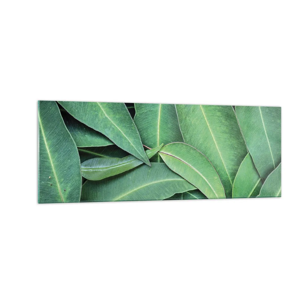 Impression sur verre - Image sur verre - Gros plan de feuilles vertes créant un motif naturel - 140x50cm - Juteux et frais - Décoration murale moderne pour le salon et la chambre ARTTOR