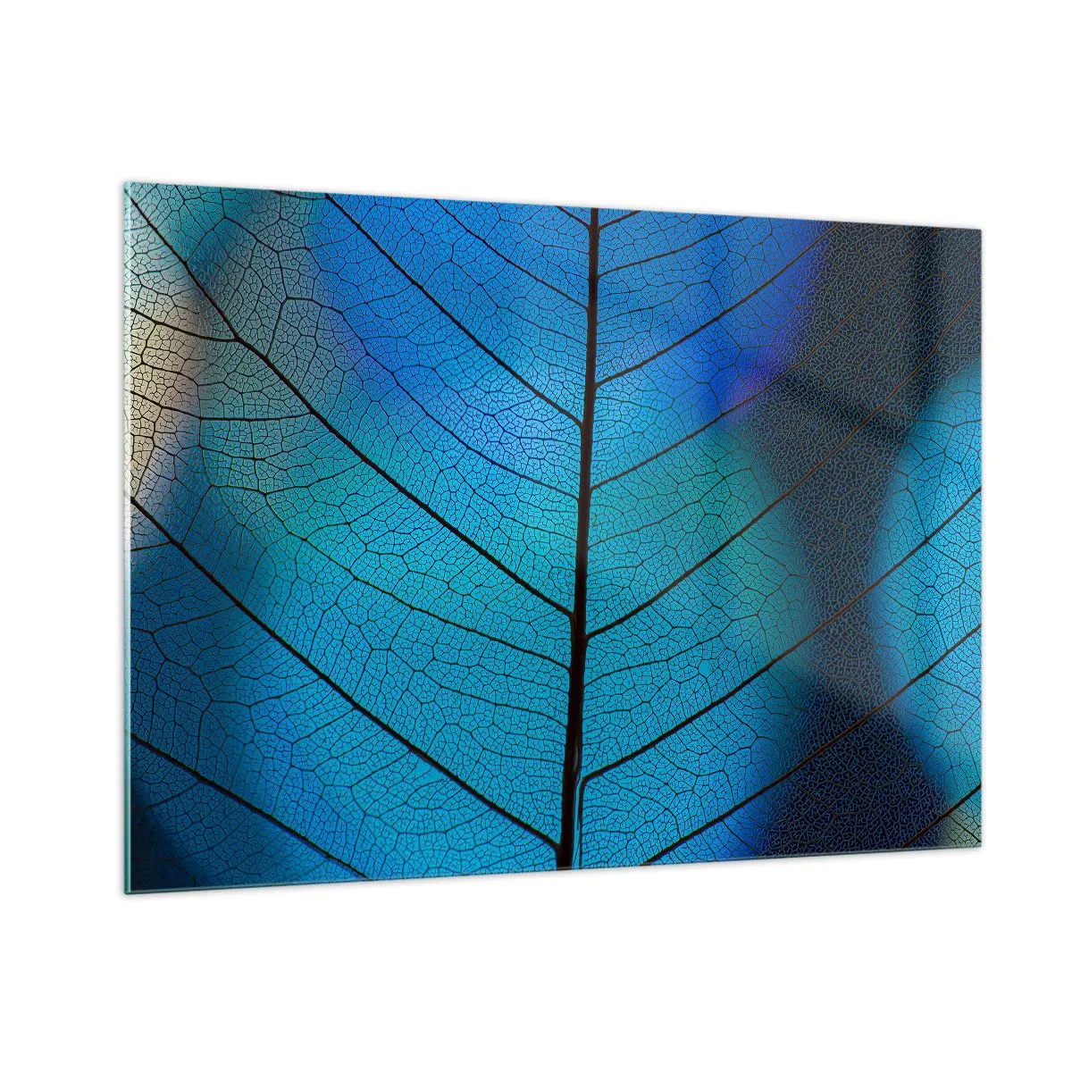 Impression sur verre - Image sur verre - Gros plan d'une feuille bleue montrant la structure des veines. - 100x70cm - Construction complexe - Décoration murale moderne pour le salon et la chambre ARTTOR