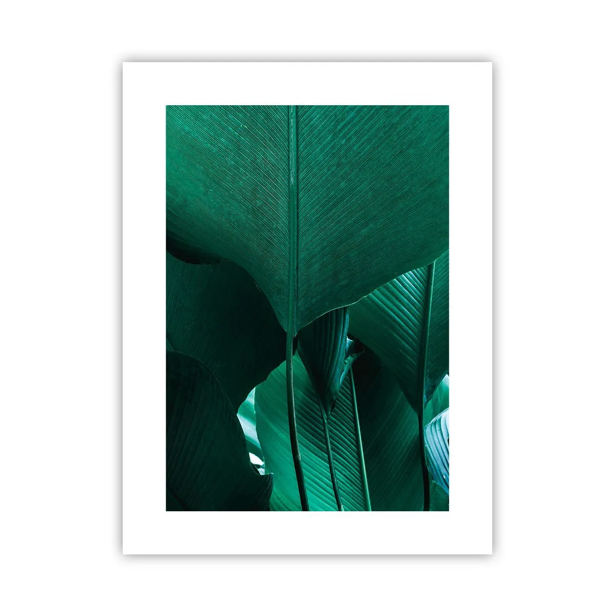 Affiche - Poster - Tourné vers la lumière - 30x40 cm