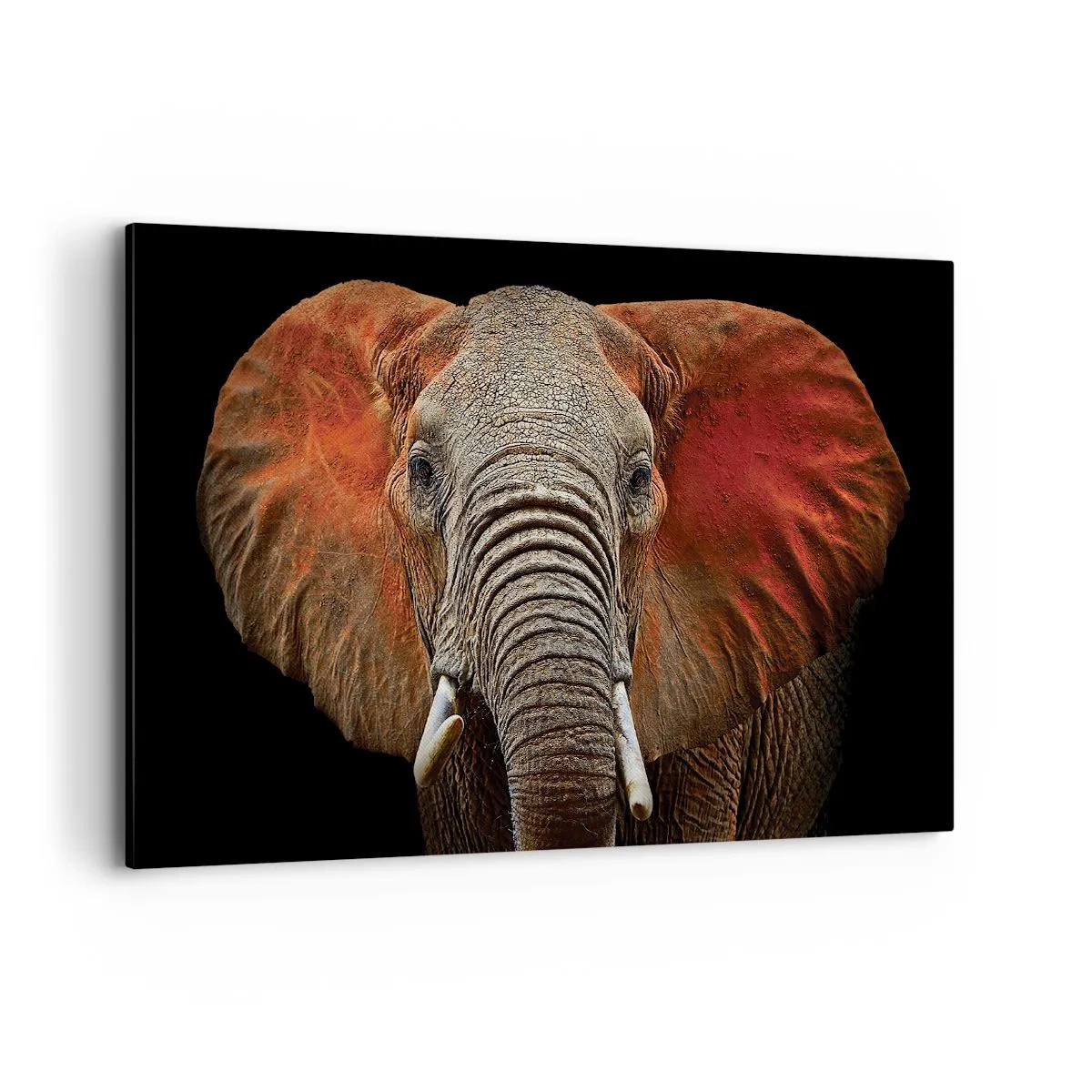 Impression sur toile - Image sur toile - Portrait d'un éléphant sur fond noir - 120x80cm - Je suis sauvage, et toi? - Décoration murale moderne pour le salon et la chambre ARTTOR