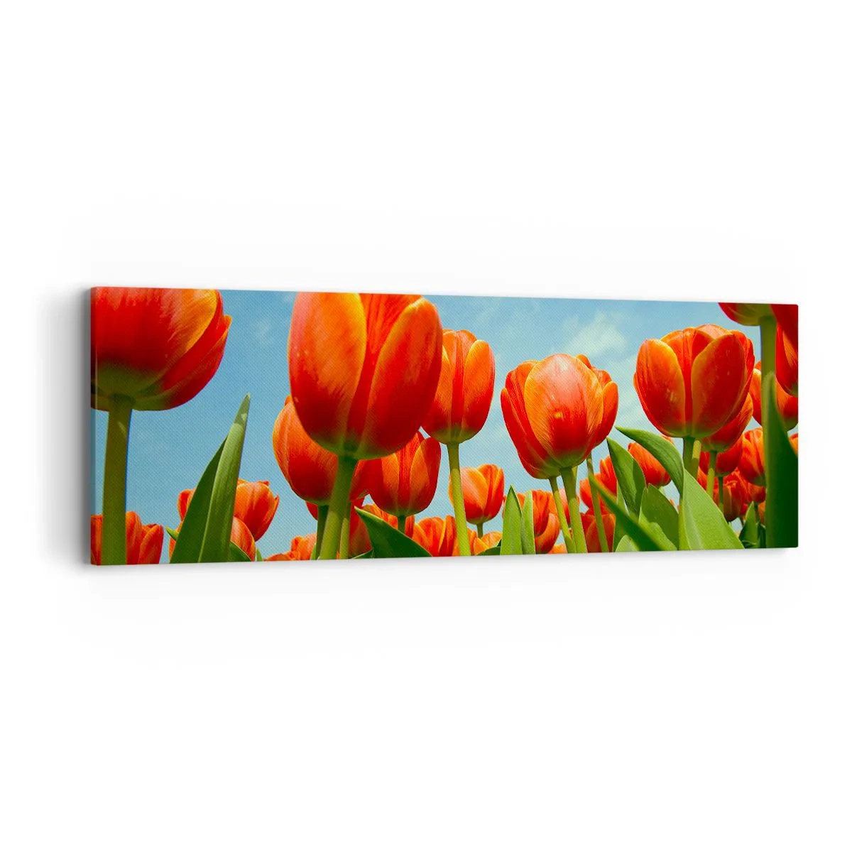 Impression sur toile - Image sur toile - A part le ciel bleu, ils n'ont besoin de rien dans leur vie - 90x30 cm
