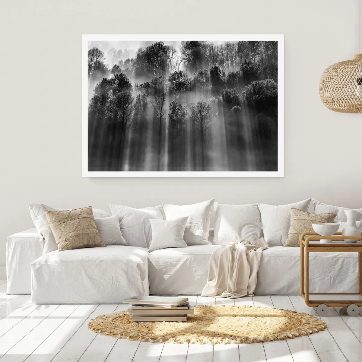 Affiche - Poster - Forêt noire et blanche dans la lumière du matin - 100x70cm - Dans les flots de lumière - Décoration murale moderne pour le salon et la chambre ARTTOR