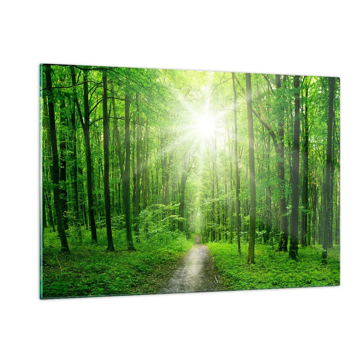Impression sur verre - Image sur verre - Un chemin dans la forêt éclairé par les rayons du soleil - 120x80cm - Cathédrale verte - Décoration murale moderne pour le salon et la chambre ARTTOR