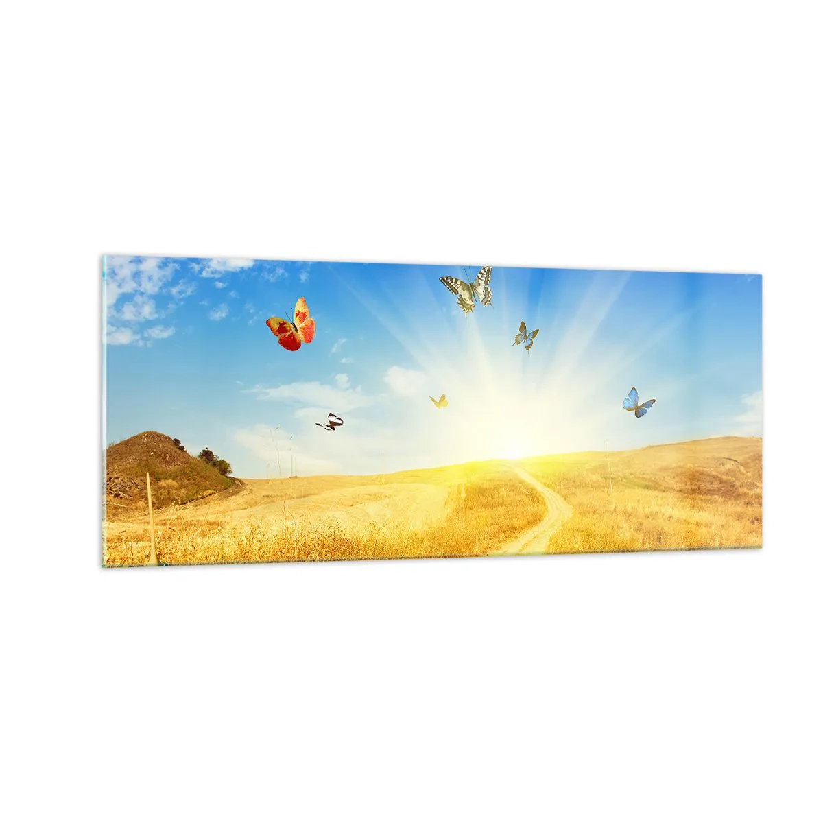 Impression sur verre - Image sur verre - Et comment ne pas aimer l'été ? - 100x40 cm