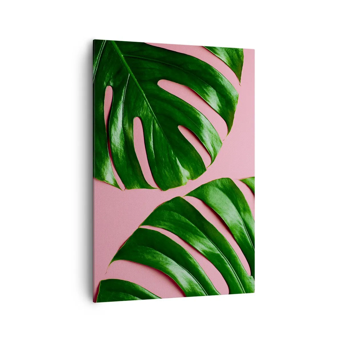 Impression sur toile - Image sur toile - Feuilles de monstera vertes sur fond rose - 70x100cm - Rendez-vous vert - Décoration murale moderne pour le salon et la chambre ARTTOR