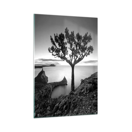 Impression sur verre - Image sur verre - Paysage noir et blanc avec un arbre solitaire sur une falaise au-dessus de la mer - 80x120cm - Paix jusqu'à l'horizon - Décoration murale moderne pour le salon et la chambre ARTTOR