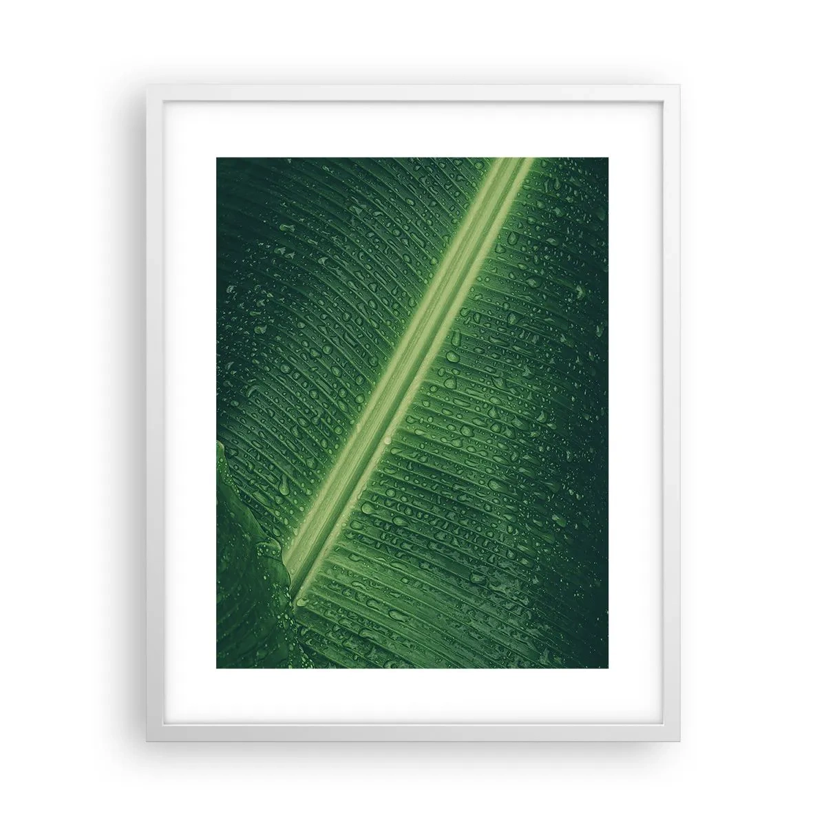 Affiche dans un cadre blanc - Poster - Structure de vert - 40x50 cm