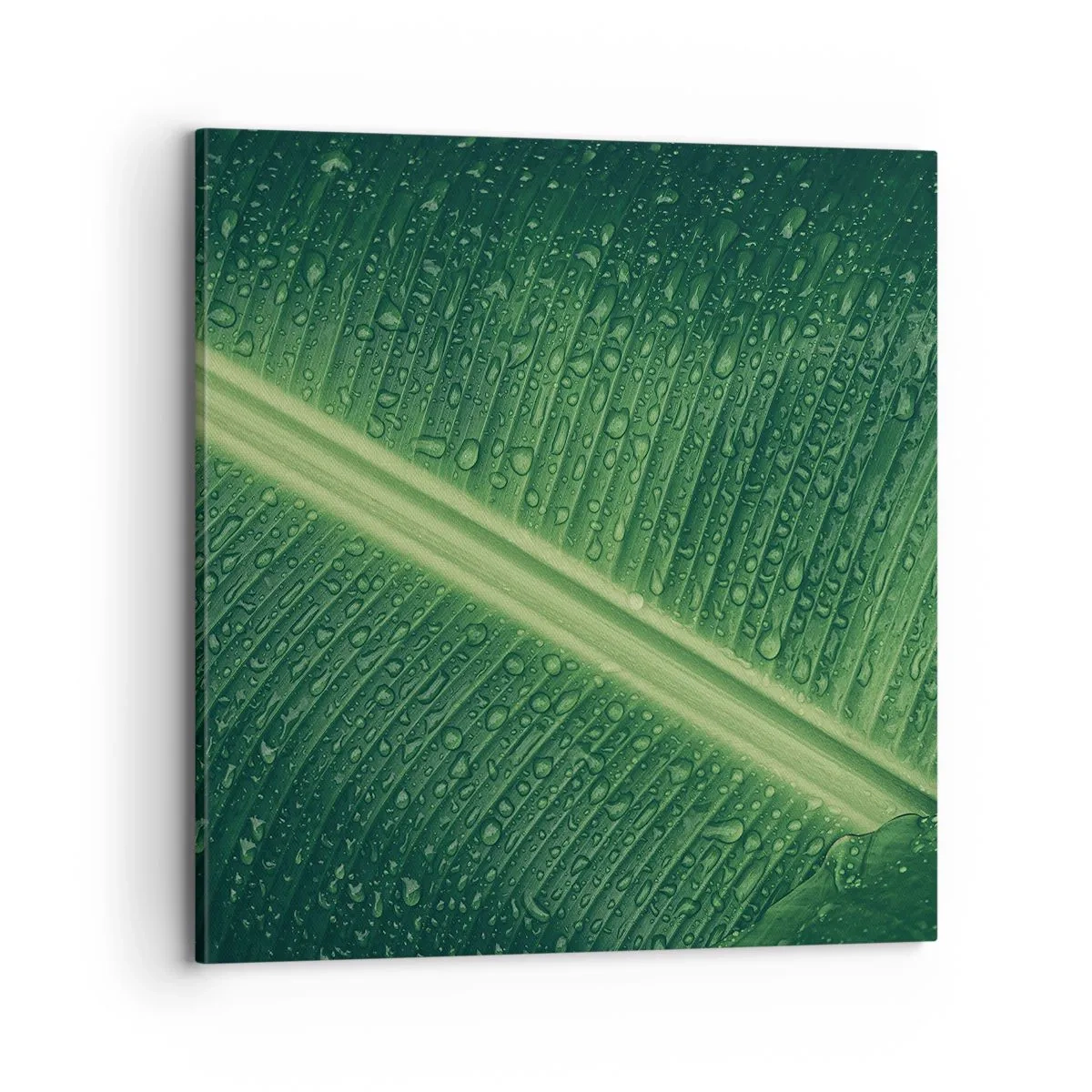 Impression sur toile - Image sur toile - Structure de vert - 70x70 cm