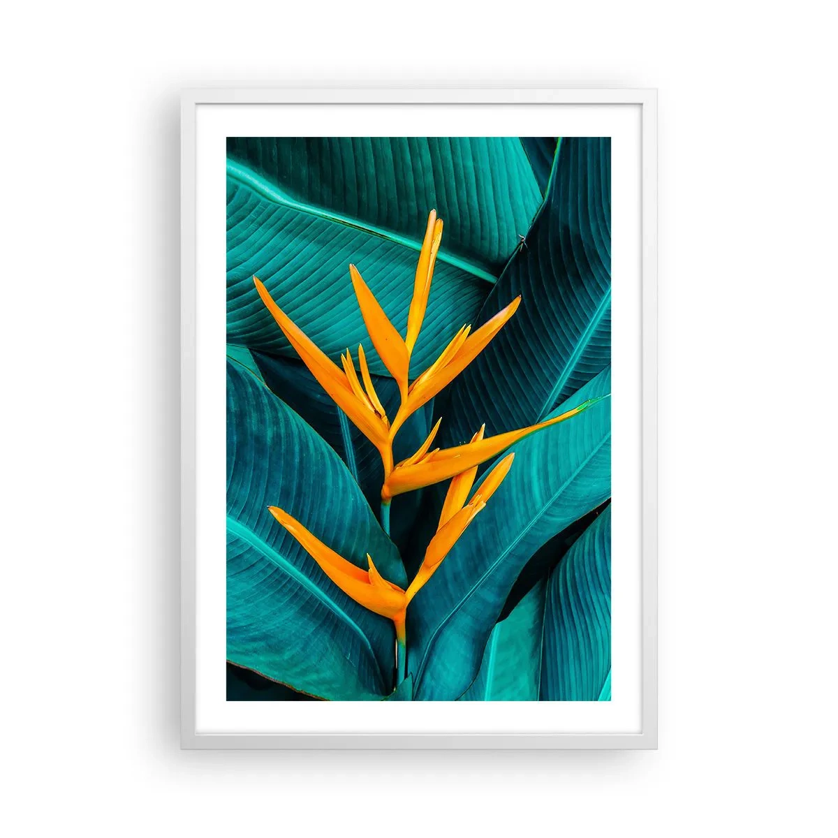 Affiche dans un cadre blanc - Poster - Fleur d'Eden - 50x70 cm