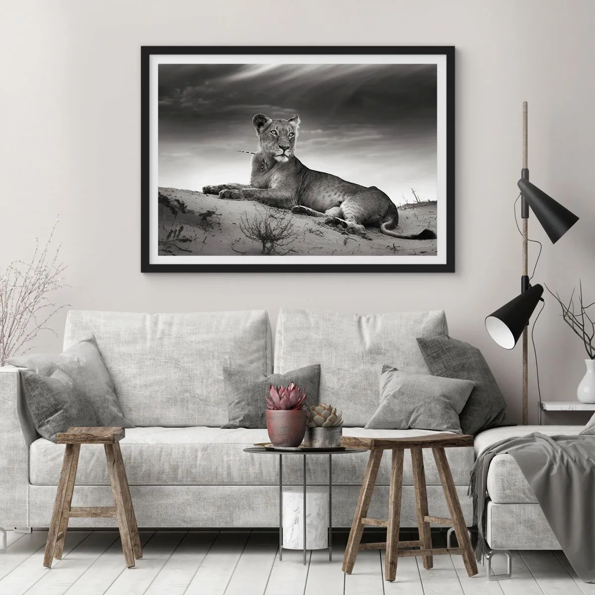 Affiche dans un cadre noir - Poster - Portrait noir et blanc d'une lionne dans la savane - 70x50cm - La reine du désert reste - Décoration murale moderne pour le salon et la chambre ARTTOR