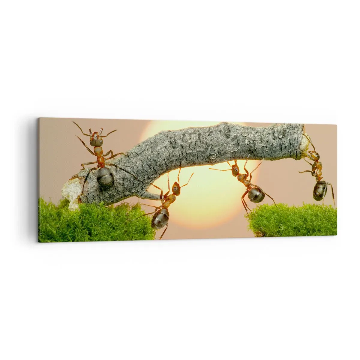 Impression sur toile - Image sur toile - Des fourmis construisent un pont de branches sur fond de soleil couchant. - 140x50cm - La joie, travaille d'équipe - Décoration murale moderne pour le salon et la chambre ARTTOR