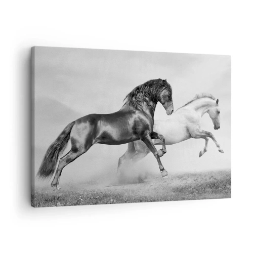 Impression sur toile - Image sur toile - Deux chevaux au galop dans une composition dynamique en noir et blanc - 70x50cm - Anges et démons - Décoration murale moderne pour le salon et la chambre ARTTOR