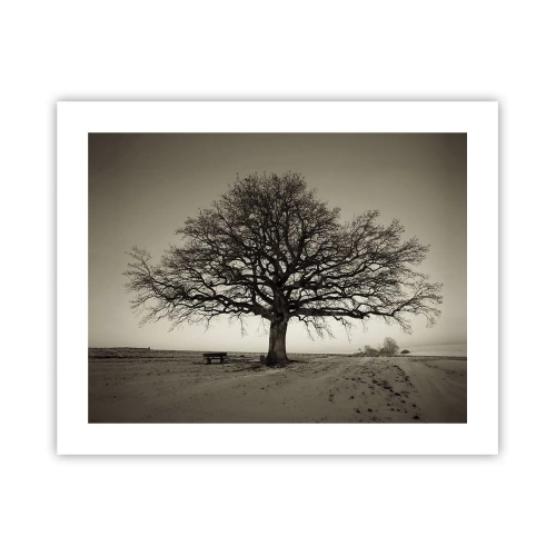 Affiche - Poster - D'ici à l'éternité - 50x40 cm