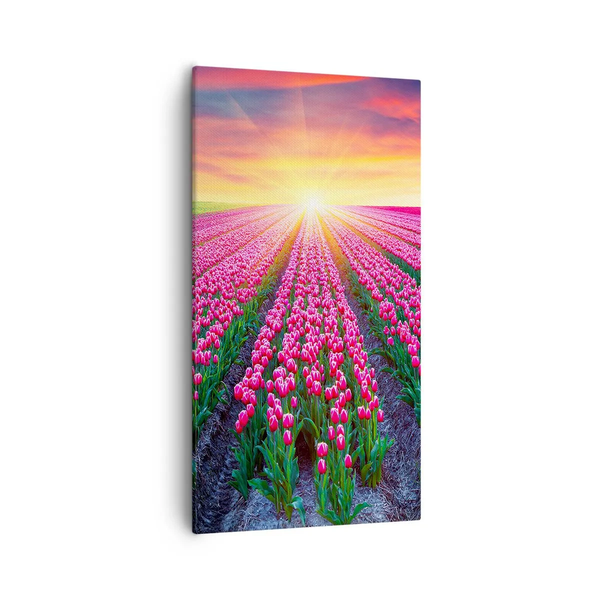 Impression sur toile - Image sur toile - Ferme de la beauté - 55x100 cm