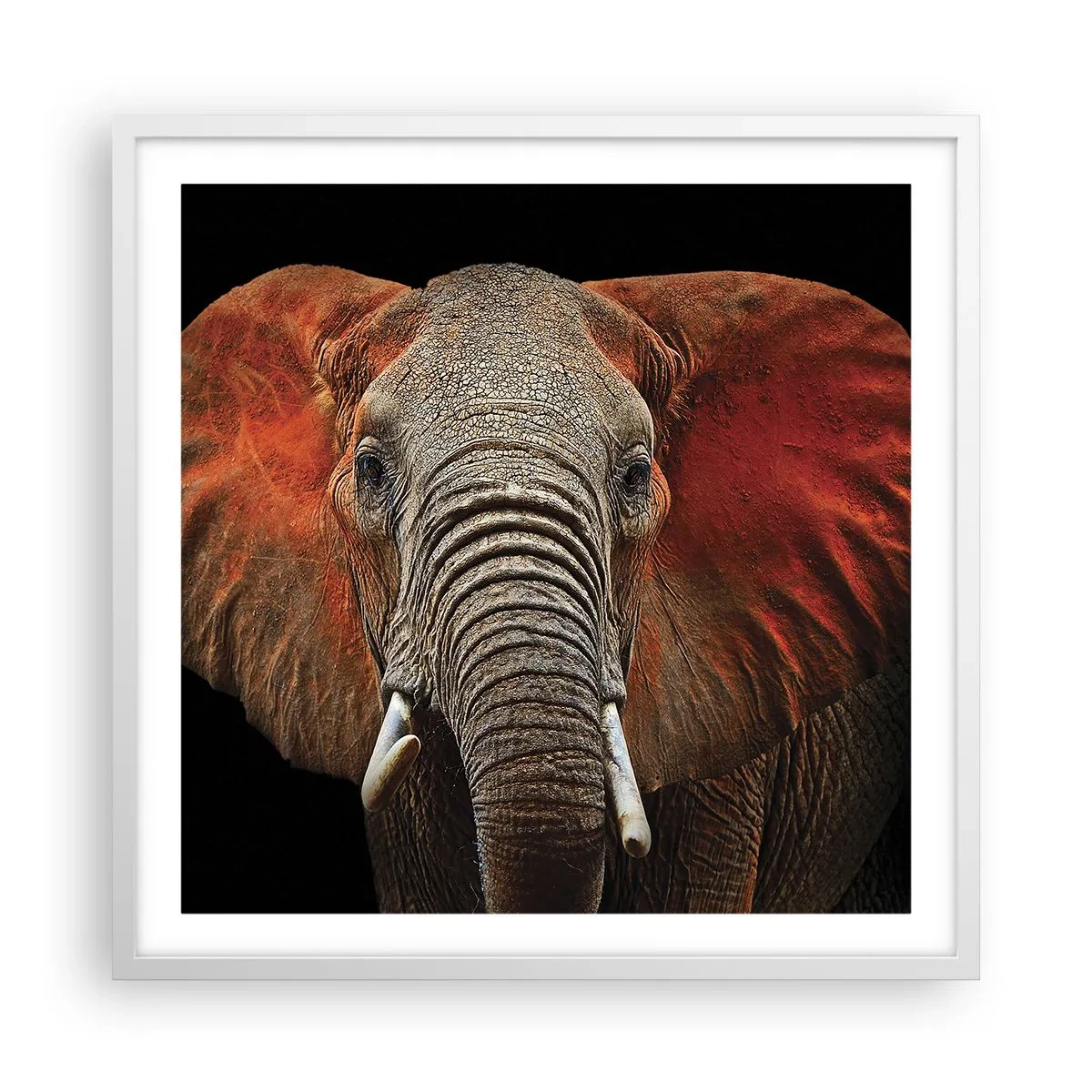 Affiche dans un cadre blanc - Poster - Je suis sauvage, et toi? - 60x60 cm