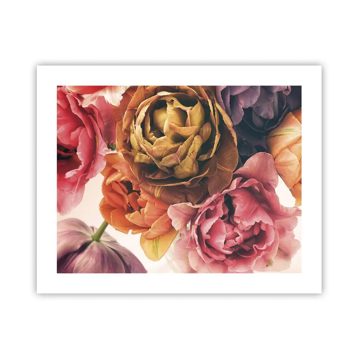 Affiche - Poster - La fête de la vie - 50x40 cm