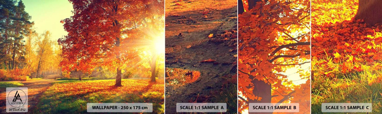 Échantillon De Papier Peint Standard Eco - Le roux est beau - Paysage, Parc, Nature - 100x30 cm