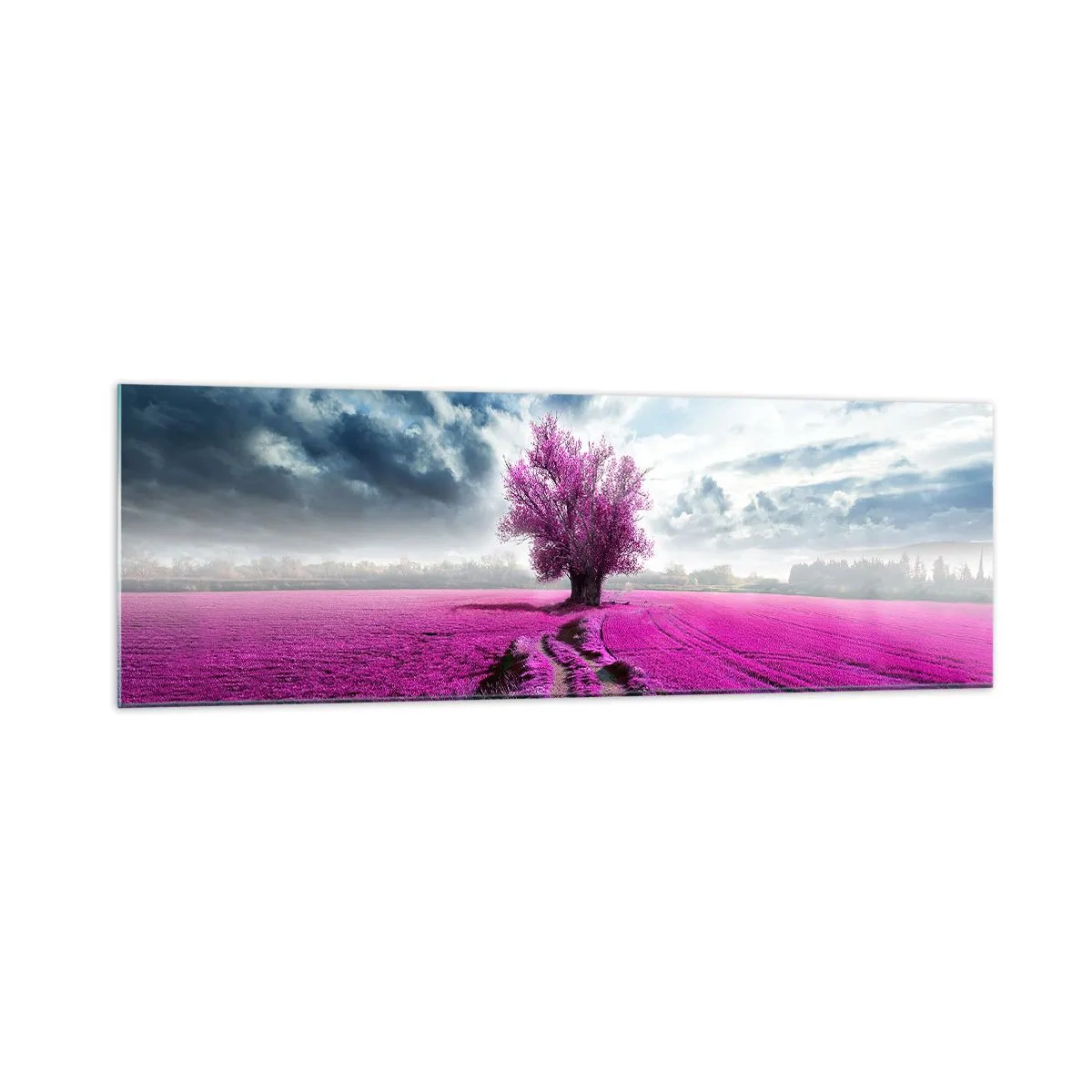 Impression sur verre - Image sur verre - Un arbre solitaire dans un champ dans une nuance de rose intense - 160x50cm - Lande - nature sauvage - Décoration murale moderne pour le salon et la chambre ARTTOR