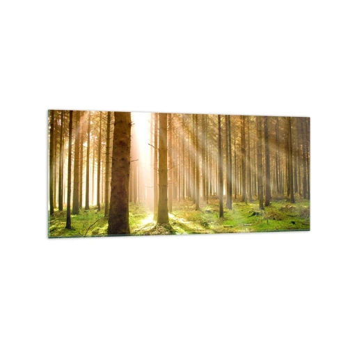Impression sur verre - Image sur verre - Forêt de conifères avec les rayons du soleil qui brillent à travers les arbres - 120x50cm - Les elfes vont bientôt apparaître - Décoration murale moderne pour le salon et la chambre ARTTOR