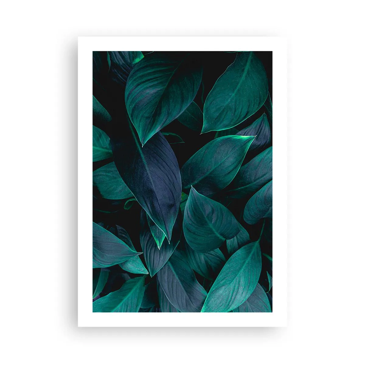 Affiche - Poster - Feuilles vert foncé avec un rétroéclairage subtil - 50x70cm - le vert lui-même - Décoration murale moderne pour le salon et la chambre ARTTOR