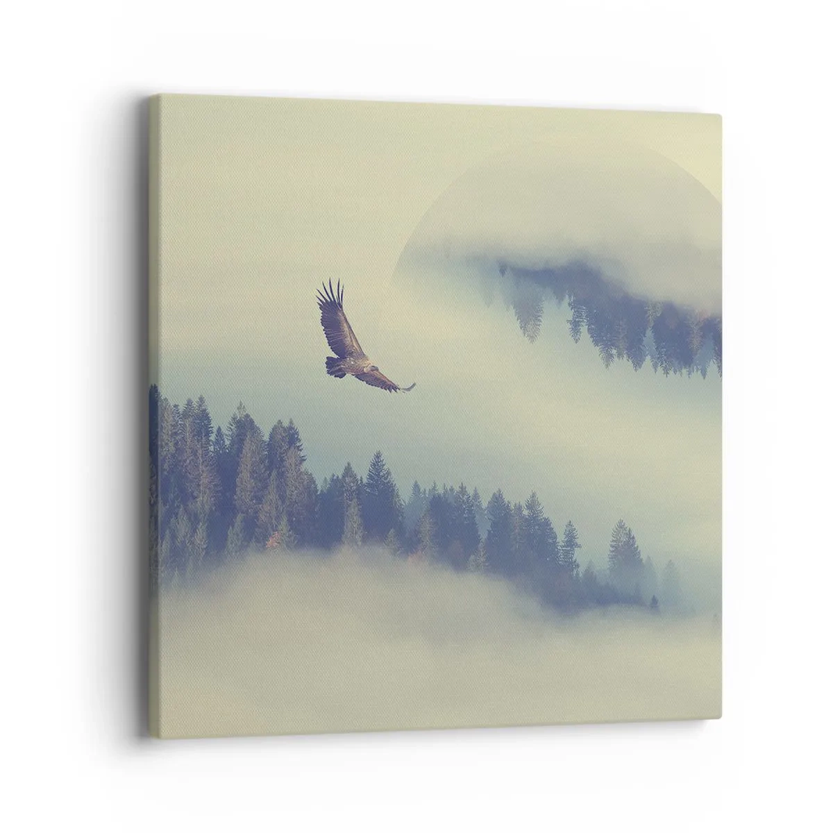 Impression sur toile - Image sur toile - J'ai vu l'ombre d'un aigle - 40x40 cm