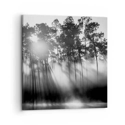 Impression sur toile - Image sur toile - Soleil inarrêtable - 70x70 cm