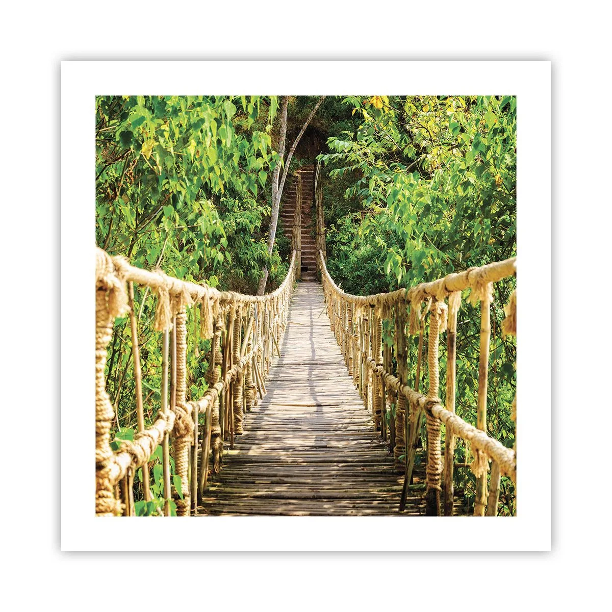 Affiche - Poster - Suspendu dans la nature - 50x50 cm