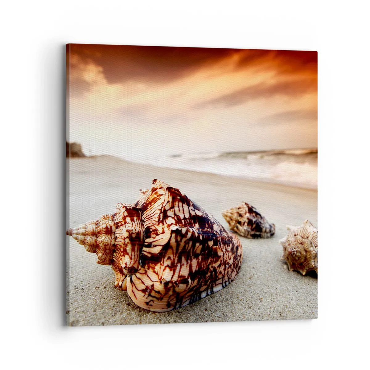 Impression sur toile - Image sur toile - Les parias des vagues - 70x70 cm
