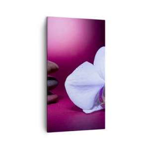 Impression sur toile - Image sur toile - Une étude de fraîcheur en violet - 45x80 cm