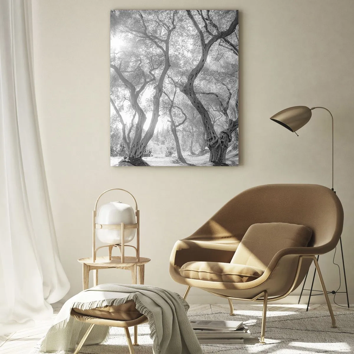 Impression sur verre - Image sur verre - Vue en noir et blanc d'arbres dans une oliveraie avec des rayons de soleil - 70x100cm - Dans l'oliveraie - Décoration murale moderne pour le salon et la chambre ARTTOR