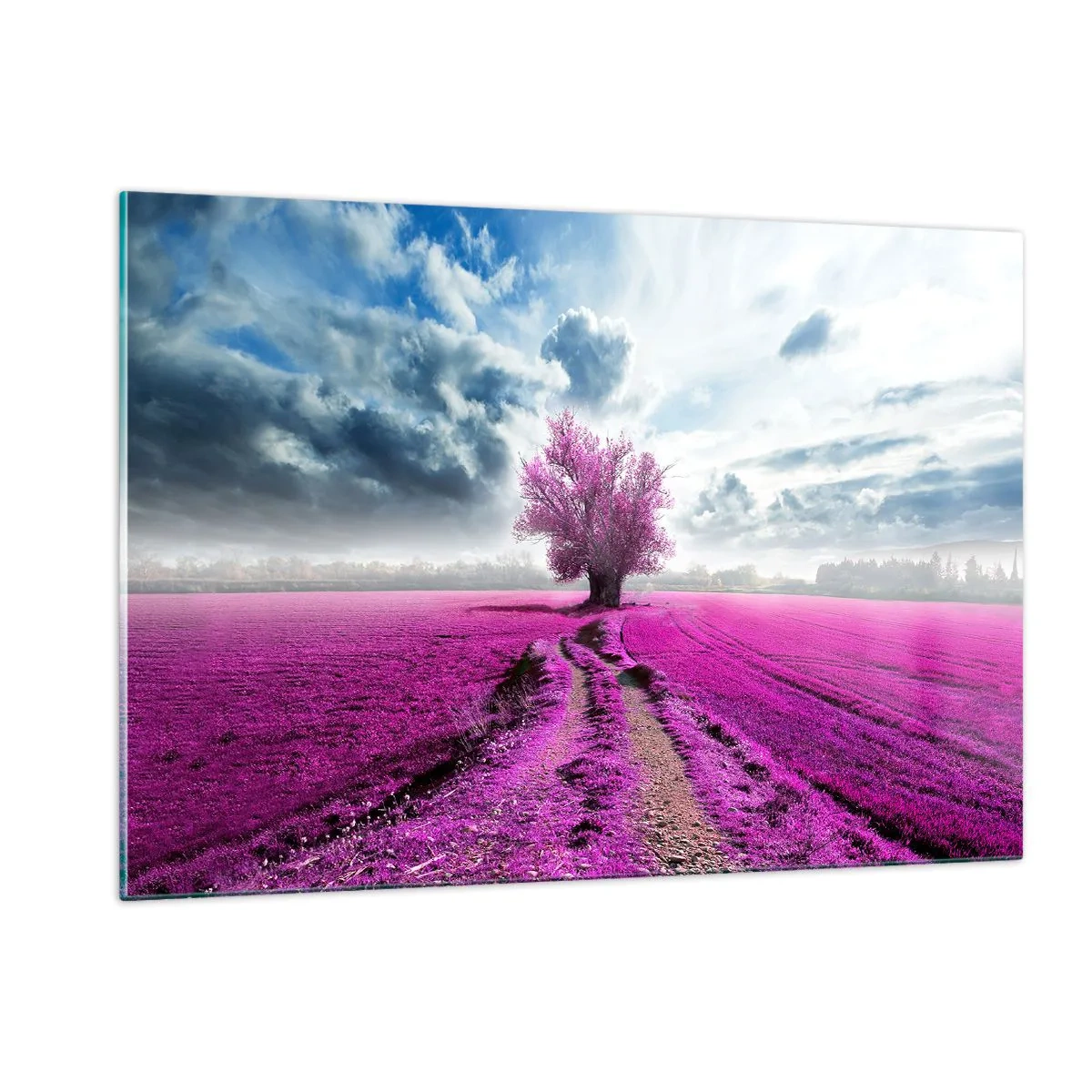 Impression sur verre - Image sur verre - Un arbre dans un champ de bruyère sous un ciel dynamique - 120x80cm - Lande - nature sauvage - Décoration murale moderne pour le salon et la chambre ARTTOR