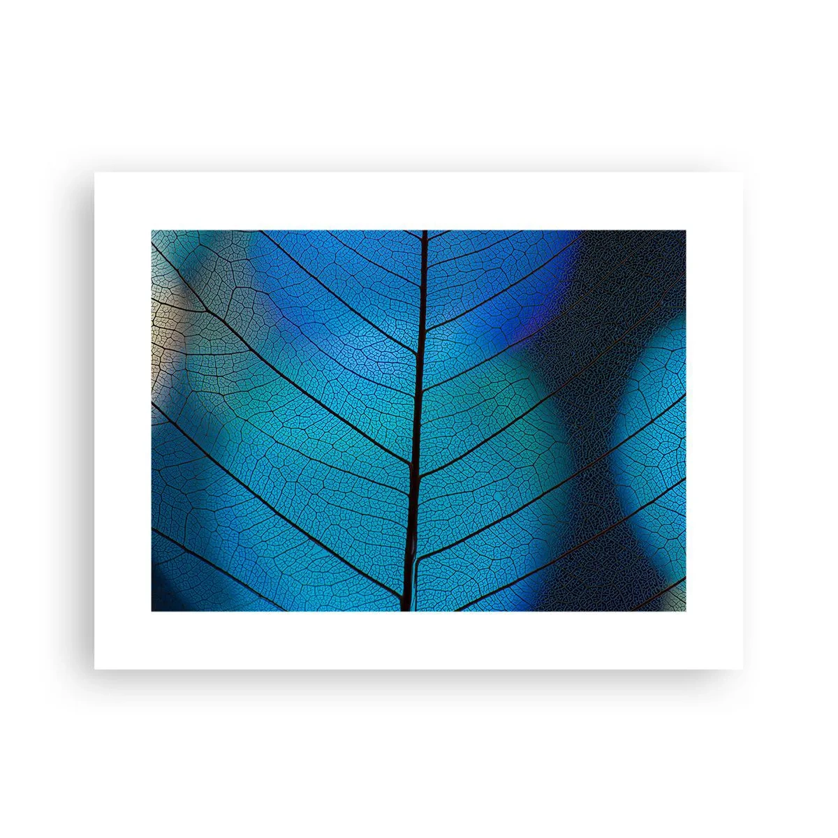 Affiche - Poster - Construction complexe - 40x30 cm